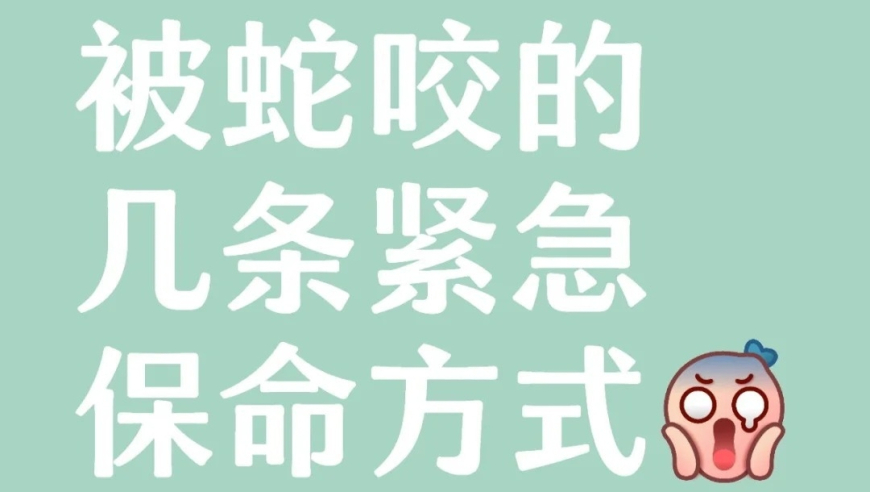 虞书欣林一新剧代滑名场面,澳门今天晚上买什么好玩的,详细释义解释落实_高清版V13.51