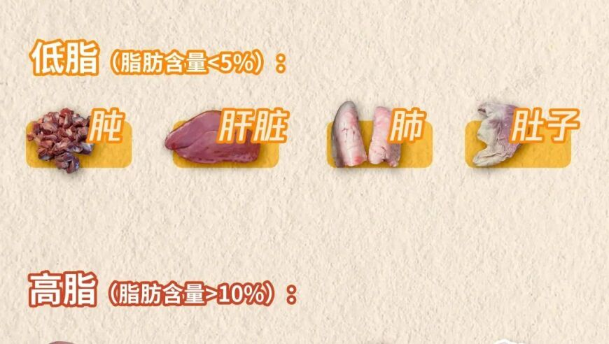 打电话多次听到回音可能已被监听,2025奥门正版免费资料大全,广泛的解释落实支持计划_户外版V15.37