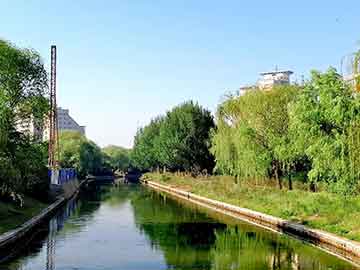 福建浙江上海震感，福建浙江上海地区出现震感，地震波动引起广泛关注